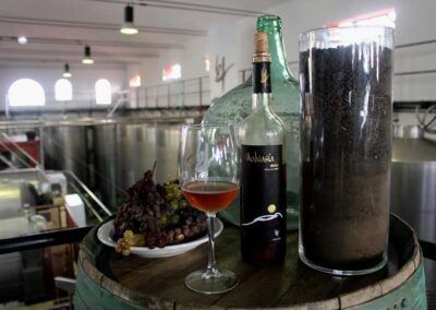 Bodegas Teneguía