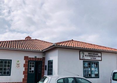 D.O.P. Vinos «La Palma»