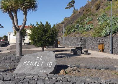 El Pinalejo